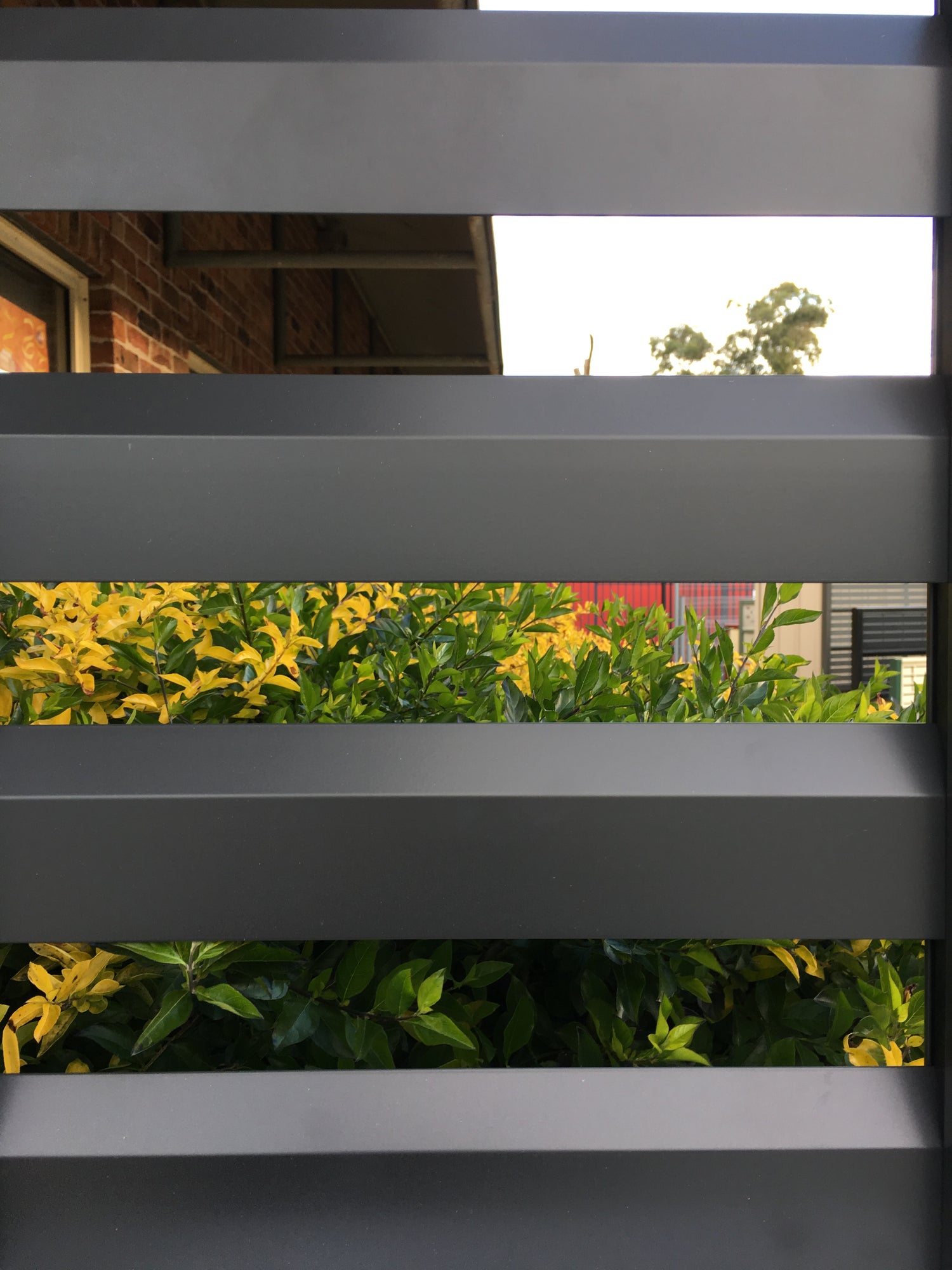 Loov-A-Slat aluminium slat fencing panel 50mm gap